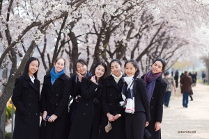 A line of blossoming cherry trees provides a perfect background for a group shot. (Photo by dancer Stephanie Guo)